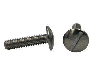 VIS POELIER A TETE LARGE FENDUE NFE 25129 INOX A4 M5X20